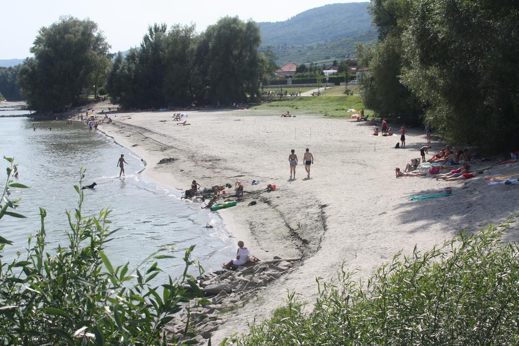 Donauwirt - Hotel Garni Weissenkirchen in der Wachau Bagian luar foto