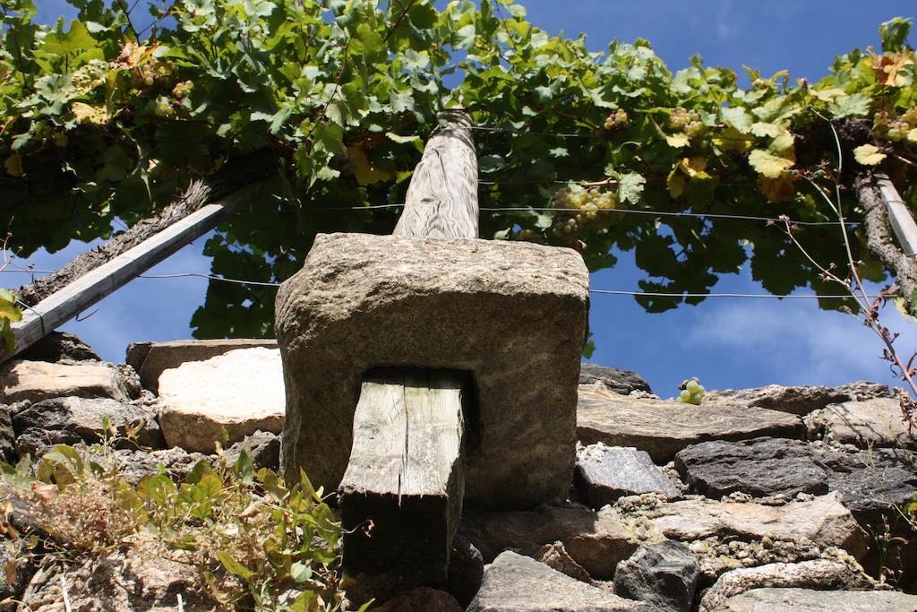 Donauwirt - Hotel Garni Weissenkirchen in der Wachau Bagian luar foto
